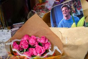 Σε δημοπρασία προσωπικά αντικείμενα του Μάθιου Πέρι για καλό σκοπό