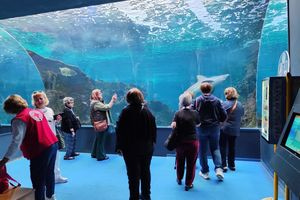 Επίσκεψη της ΑΛΛΗΛΕΓΓΥΗΣ Ηρακλείου στο CretAquarium