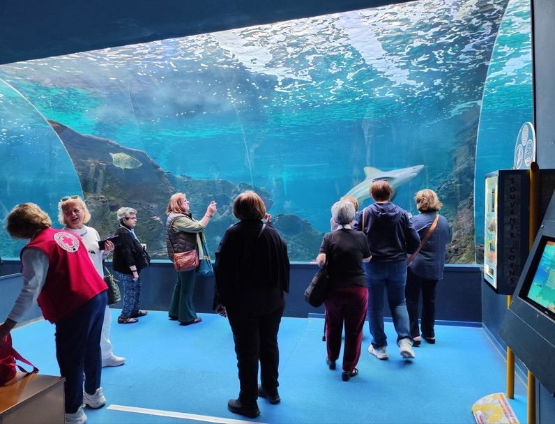 Επίσκεψη της ΑΛΛΗΛΕΓΓΥΗΣ Ηρακλείου στο CretAquarium