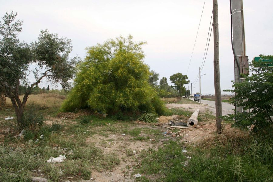 Τρεις εβδομάδες παραμένουν για τον υποχρεωτικό καθαρισμό των οικοπέδων – Η προθεσμία και τα πρόστιμα