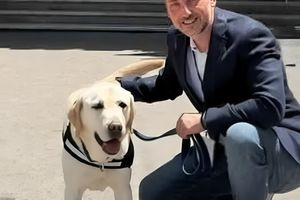 «Έπιασε δουλειά» στο νοσοκομείο «Μεταξά» ο πρώτος σκύλος θεραπείας