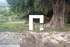 (ΦΩΤΟ) Χανιά: Εντοπίστηκε σορός σε προχωρημένη σήψη στην περιοχή του Τζιτζιφέ