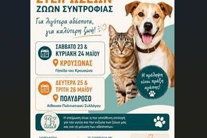 Μαλεβίζι: Τετραήμερη δράση στειρώσεων ζώων συντροφιάς σε Κρουσώνα και Πολύδροσο