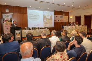 Στ. Αρναουτάκης: «Κορυφαία κατάκτηση η γεωγραφική ένδειξη του ελαιολάδου μας – Σταθερά δίπλα στον παραγωγό η Περιφέρεια Κρήτης»