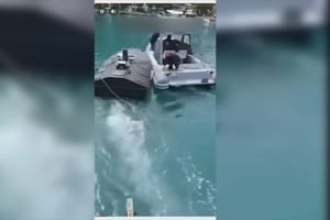 Λευκάδα: Εξουδετερώθηκαν τα εκρηκτικά στο θαλάσσιο drone