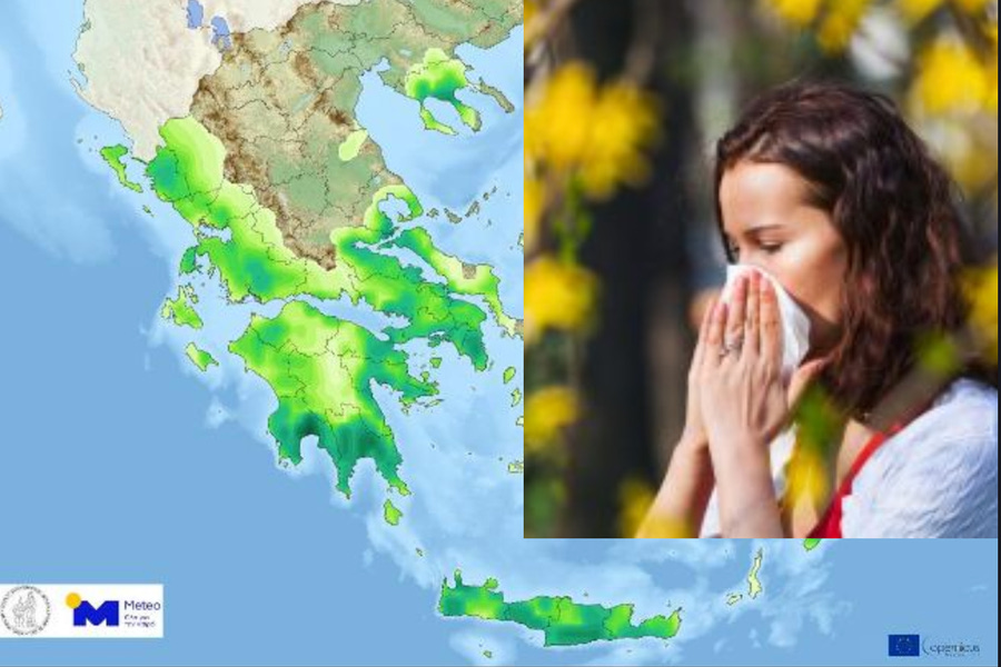 Ανοιξιάτικη επίθεση: “Φουντώνουν” οι αλλεργίες από νέφη γύρης στην Κρήτη (Δείτε χάρτες με τις συγκεντρώσεις)