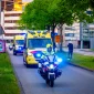 Το «κυνήγι του χανταϊού» στην Αργεντινή: Πώς οι επιστήμονες προσπαθούν να εντοπίσουν τον ιό