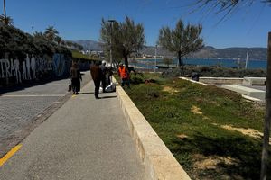 Σε εξέλιξη εργασίες συντήρησης του πρασίνου σε διάφορα σημεία του Ηρακλείου