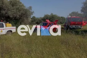 Σοβαρό τροχαίο στην Ερέτρια – Αυτοκίνητο έπεσε πάνω σε δέντρο και έπιασε φωτιά