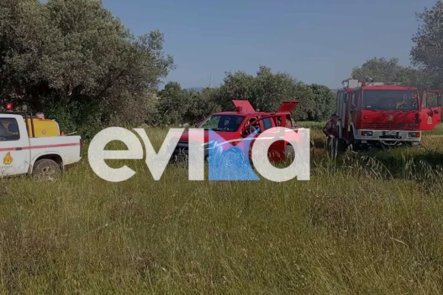 Σοβαρό τροχαίο στην Ερέτρια – Αυτοκίνητο έπεσε πάνω σε δέντρο και έπιασε φωτιά