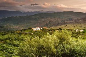 Οι άνθρωποι της κρητικής υπαίθρου ξέρουν ν’ ανταμείβουν όσους την εκτιμούν