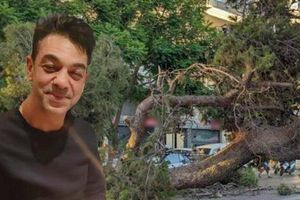 Αναβλήθηκε η δίκη για τον θάνατο του Παναγιώτη Μητρέλου από το «φονικό» πεύκο