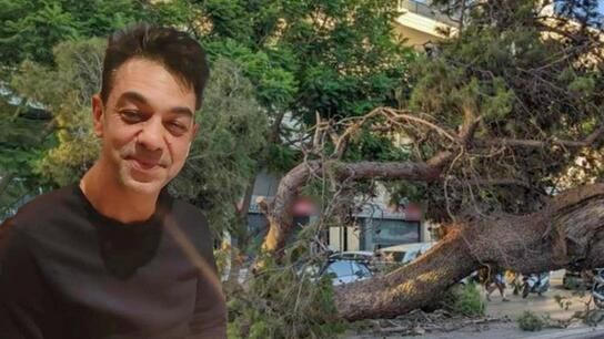 Αναβλήθηκε η δίκη για τον θάνατο του Παναγιώτη Μητρέλου από το «φονικό» πεύκο