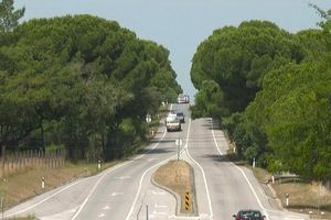 Εγκατέλειψαν δύο αδέλφια, τριών και πέντε ετών, σε δάσος της Λισαβόνας