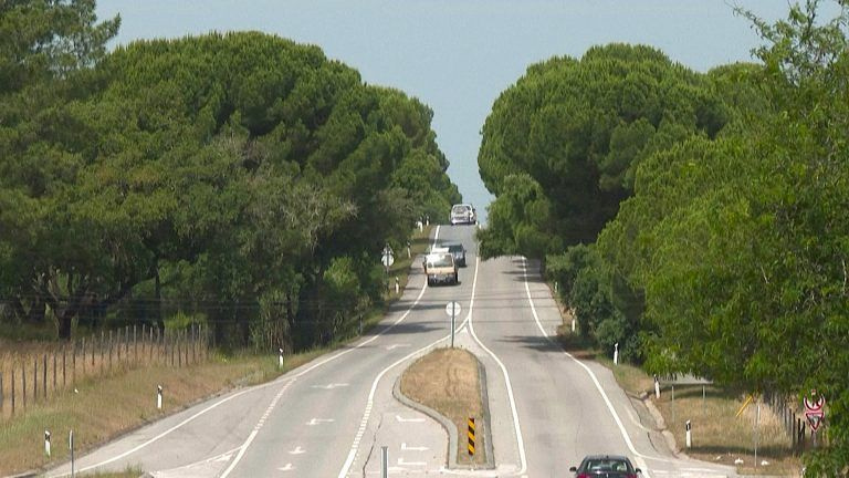 Εγκατέλειψαν δύο αδέλφια, τριών και πέντε ετών, σε δάσος της Λισαβόνας