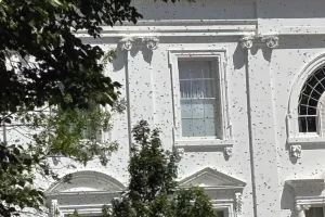 Σμήνος μελισσών κατέκλυσε τον Λευκό Οίκο, viral τα βίντεο από το σημείο