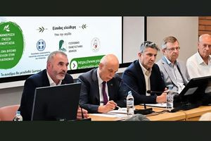Μανόλης Χνάρης: Η ουσιαστική στήριξη του ελαιοκομικού τομέα είναι αυτονόητη προτεραιότητα για το ΠΑΣΟΚ