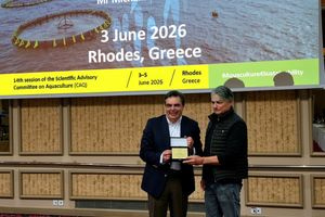 Θεσσαλονίκη: Δύο ταυτοποιήσεις για επεισόδια σε αγώνα ερασιτεχνικού ποδοσφαίρου