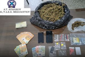 Στα χέρια της ΕΛ.ΑΣ. ένας άνδρας μετά από συντονισμένη επιχείρηση και τη δυνατή όσφρηση του «Sporty»