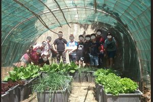 Η Κρητική Διατροφή ως τρόπος ζωής στα σχολεία της Κρήτης