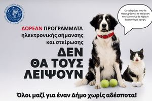 Δήμος Αγίου Νικολάου: Δωρεάν στειρώσεις και φροντίδα ζώων συντροφιάς στα Φλαμουριανά