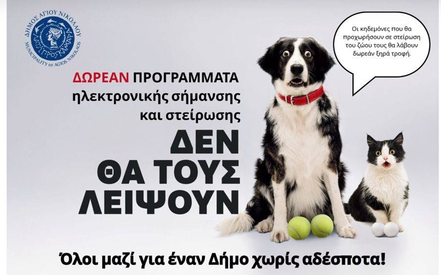 Δήμος Αγίου Νικολάου: Δωρεάν στειρώσεις και φροντίδα ζώων συντροφιάς στα Φλαμουριανά