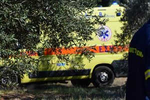 Τραγωδία στην Εύβοια: Πέθανε ξαφνικά 21χρονη -Την τσίμπησε σφήκα πριν καταρρεύσει