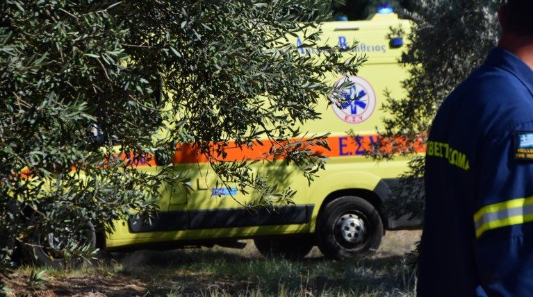 Τραγωδία στην Εύβοια: Πέθανε ξαφνικά 21χρονη -Την τσίμπησε σφήκα πριν καταρρεύσει