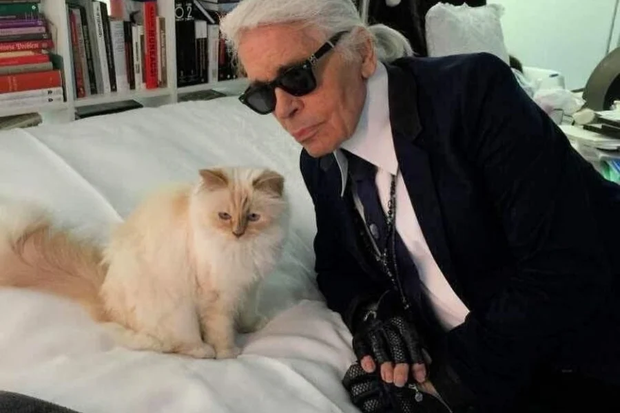 Χρεοκόπησε η Choupette; Η αλήθεια για τη γάτα του Karl Lagerfeld και το μερίδιο της κληρονομιάς
