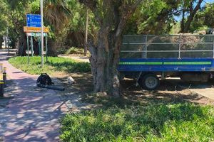 Παρεμβάσεις συντήρησης του πρασίνου στον Ευκάλυπτο