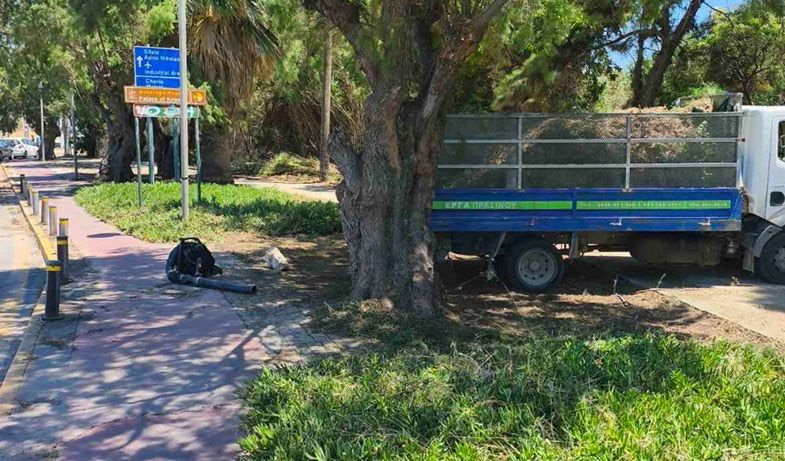 Παρεμβάσεις συντήρησης του πρασίνου στον Ευκάλυπτο