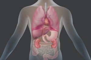 CKM syndrome : Τι αναφέρουν οι πρώτες κλινικές οδηγίες παγκοσμίως για το καρδιαγγειακό – νεφρικό – μεταβολικό σύνδρομο