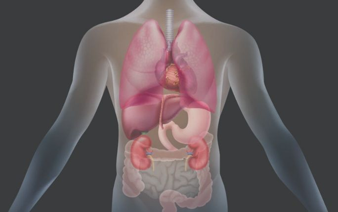 CKM syndrome : Τι αναφέρουν οι πρώτες κλινικές οδηγίες παγκοσμίως για το καρδιαγγειακό – νεφρικό – μεταβολικό σύνδρομο