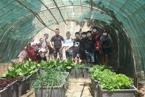 Διαθέσιμο σε όλα τα σχολεία της Κρήτης η Πρωτοποριακή εκπαιδευτική παρέμβαση για την Κρητική Διατροφή