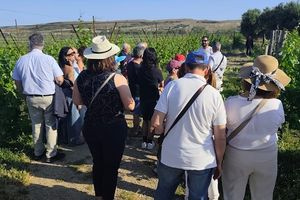 Με επιτυχία η εκδήλωση «Κρητικές Γεύσεις με Ταυτότητα. ΠΟΠ, παράδοση και βιωσιμότητα»