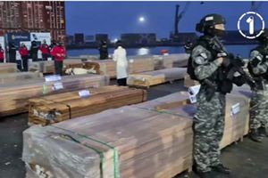 Χιλή: Κατάσχεση 100 και πλέον τόνων ναρκωτικών κρυμμένων σε φορτία ξυλείας, ποσότητας-ρεκόρ