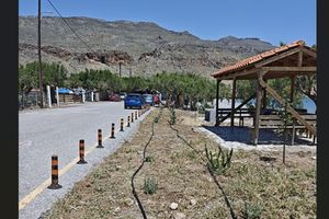 Δράση δεντροφύτευσης στην Κάτω Ζάκρο και τον Ξερόκαμπο