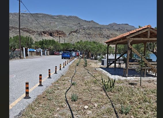 Δράση δεντροφύτευσης στην Κάτω Ζάκρο και τον Ξερόκαμπο