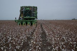 ΑΑΔΕ: Εντολή καταβολής 617,4 εκατ. ευρώ σε 1.142.948 δικαιούχους για αγροτικές ενισχύσεις Ιουνίου 2026