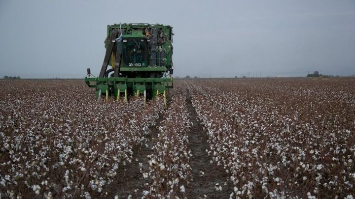 ΑΑΔΕ: Εντολή καταβολής 617,4 εκατ. ευρώ σε 1.142.948 δικαιούχους για αγροτικές ενισχύσεις Ιουνίου 2026