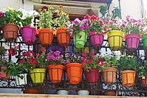 Ρέθυμνο: Παράταση στις υποψηφιότητες για τον διαγωνισμό «Πρασινίζουμε τον κήπο ή το μπαλκόνι μας» μέχρι τις 30 Ιουνίου