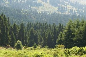 ΠΡΟΣΟΧΗ: Σε ποιες περιοχές είναι υψηλός ο κίνδυνος πυρκαγιάς για αύριο