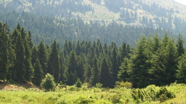 ΠΡΟΣΟΧΗ: Σε ποιες περιοχές είναι υψηλός ο κίνδυνος πυρκαγιάς για αύριο