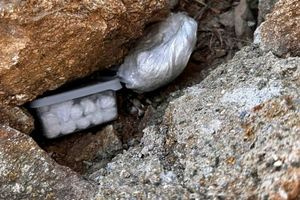 Μύκονος: Συνελήφθη 31χρονος για διακίνηση ναρκωτικών – Κατασχέθηκαν κοκαΐνη, ροζ κοκαΐνη και κάνναβη