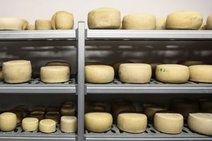 ΥΠΑΑΤ: Στους 1.304 τόνους η ελεγχόμενη διακίνηση τυριών από τη Λέσβο