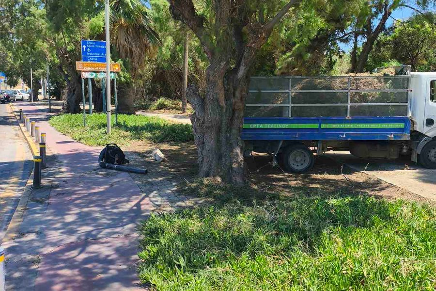 Παρεμβάσεις συντήρησης του πρασίνου στον Ευκάλυπτο