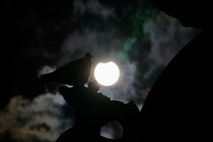 Έξι λεπτά σκοταδιού στη μέση της ημέρας – Πότε θα συμβεί η μεγαλύτερη ηλιακή έκλειψη του 21ου αιώνα