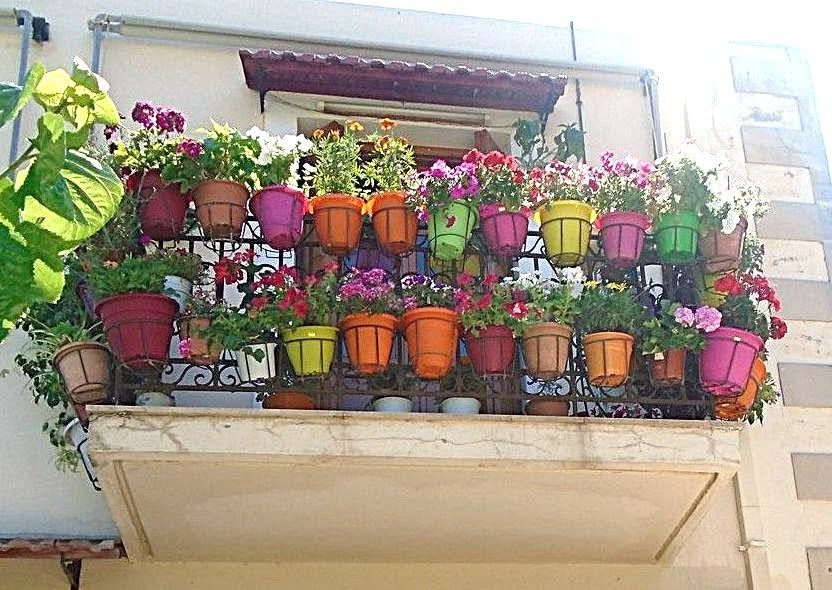 Παράταση στις υποψηφιότητες για τον διαγωνισμό «Πρασινίζουμε τον κήπο ή το μπαλκόνι μας» μέχρι τις 30 Ιουνίου