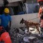 Πως βρίσκουν τους ζωντανούς κάτω από τα χαλάσματα στη Βενεζουέλα – Η τεχνολογία στη μάχη για ένα θαύμα