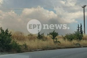 Θεσσαλονίκη: Ένας νεκρός στη μεγάλη φωτιά στο Δερβένι